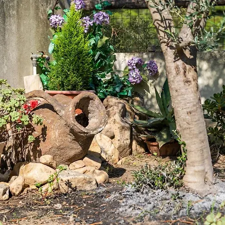 Villamara Tatil Evi Olia Speciosa