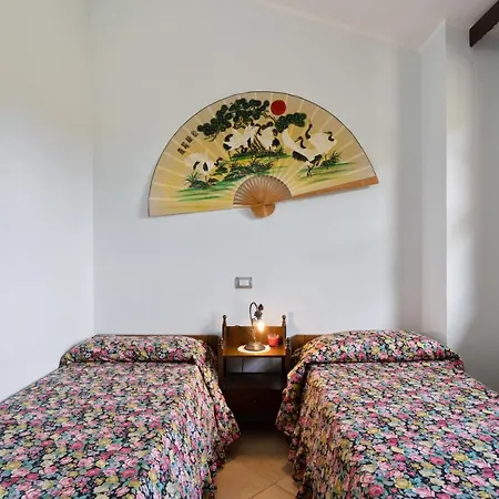 Villamara Olia Speciosa